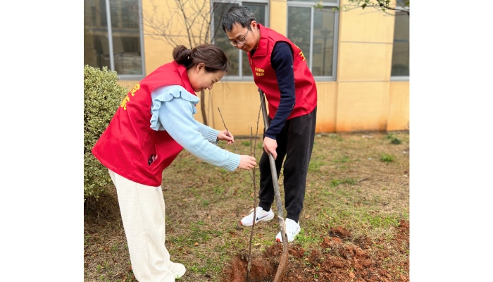 植樹(shù)節(jié)