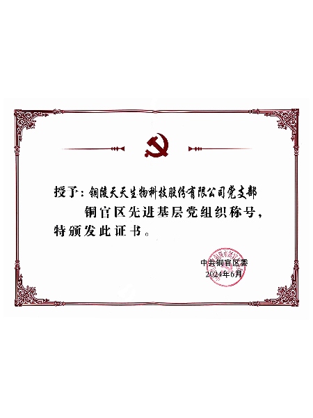 銅陵市銅官區(qū)先進基層黨組織